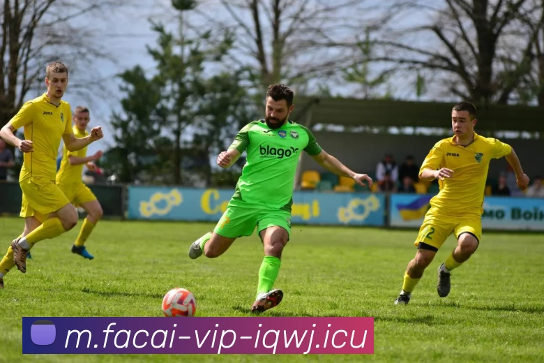 爱游戏体育APP 封面图